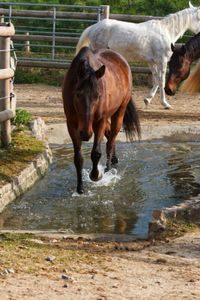 foto Wasserbecken 16082023_1